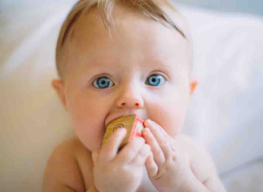 Infant Nutrition