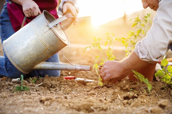 Family gardening